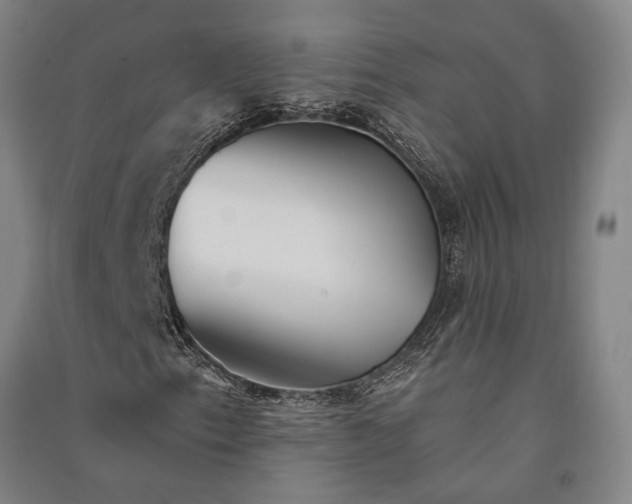 X0000091351153200708171425