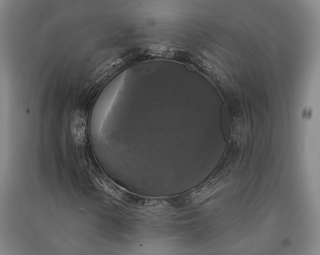 X0000091351154200708171425
