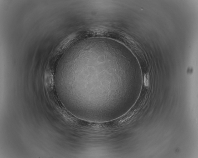 X0000091351155200708171425