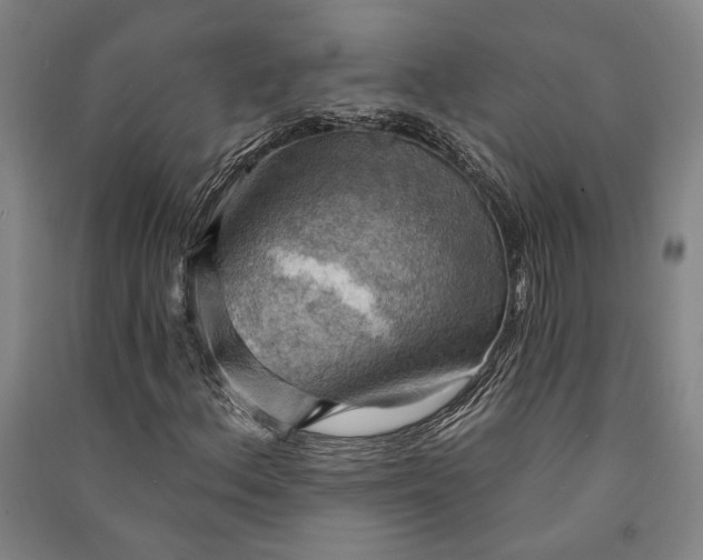 X0000091351156200708171425