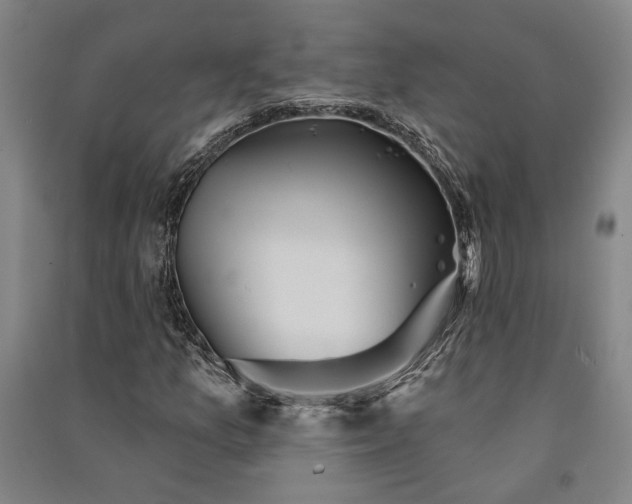 X0000091351157200708171425