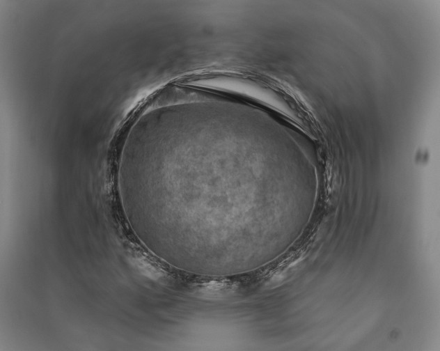 X0000091351160200708171425
