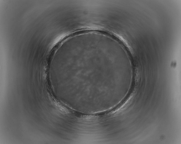 X0000091351163200708171425