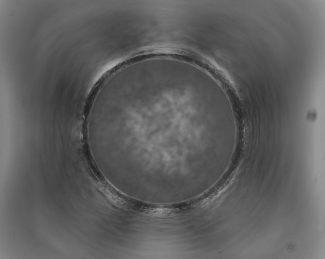 X0000091351166200708171425
