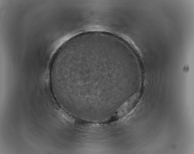 X0000091351167200708171425