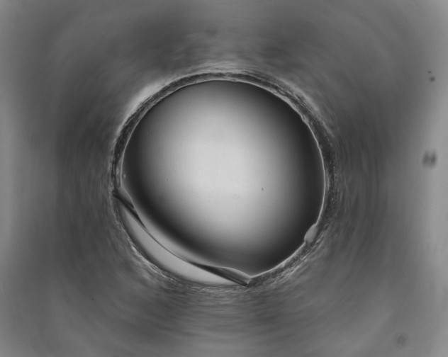 X0000091351168200708171425