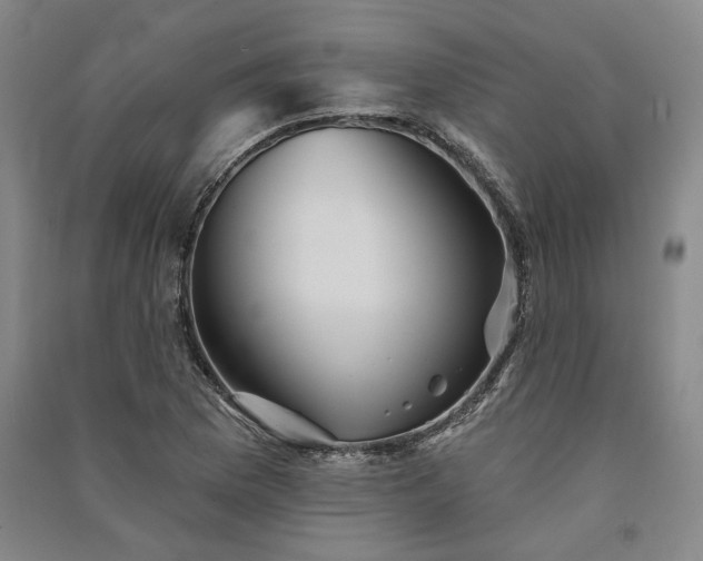 X0000091351169200708171425