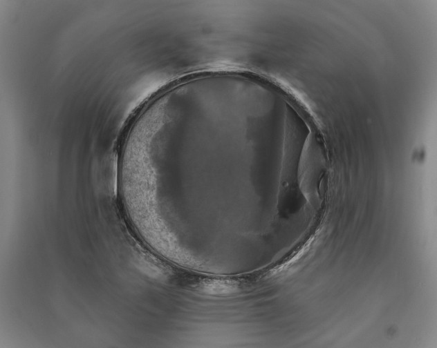 X0000091351171200708171425