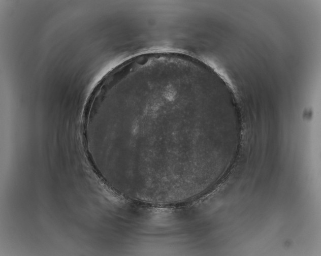 X0000091351173200708171425