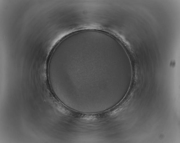 X0000091351174200708171425