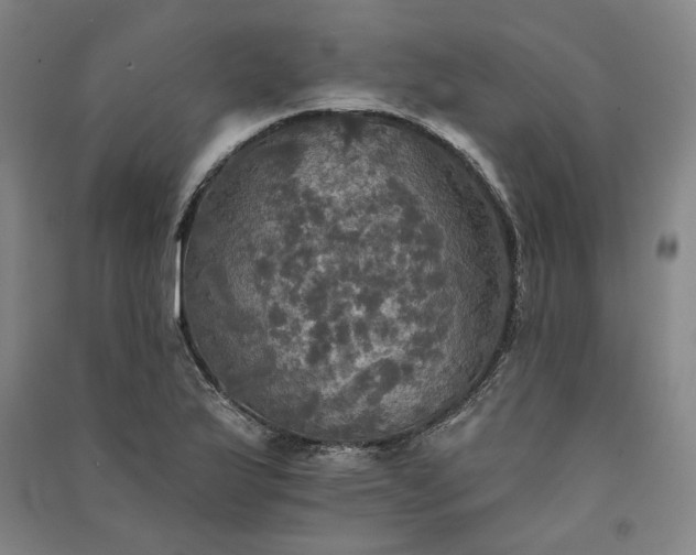 X0000091351175200708171425