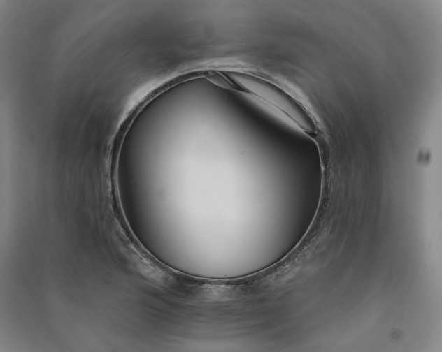 X0000091351176200708171425