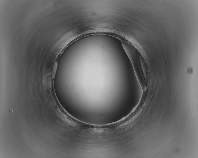 X0000091351177200708171425