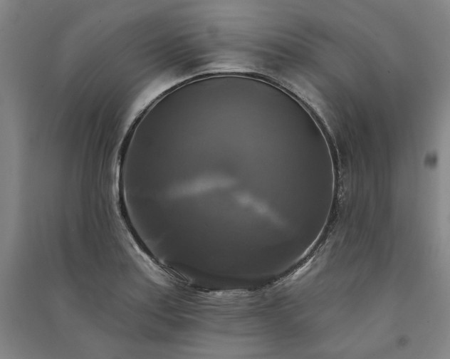 X0000091351179200708171425