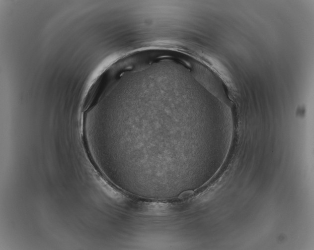 X0000091351180200708171425