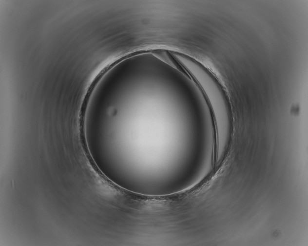 X0000091351181200708171425