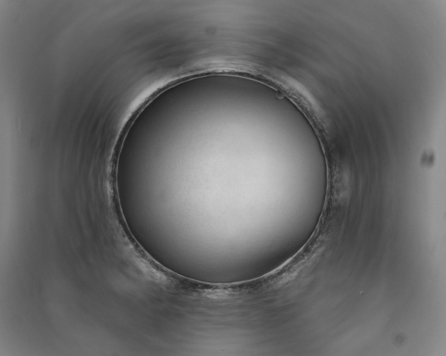 X0000091351182200708171425