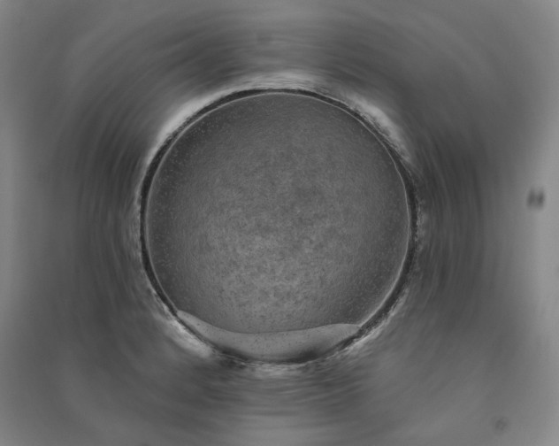 X0000091351184200708171425
