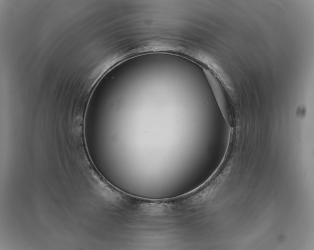 X0000091351185200708171425