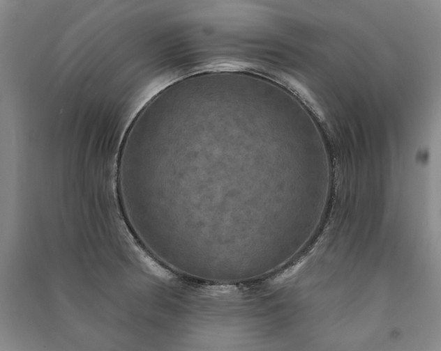 X0000091351186200708171425