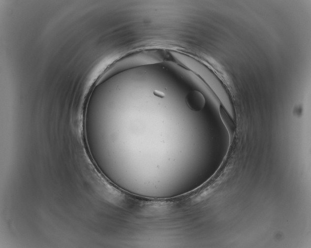 X0000091351188200708171425