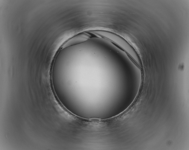 X0000091351189200708171425