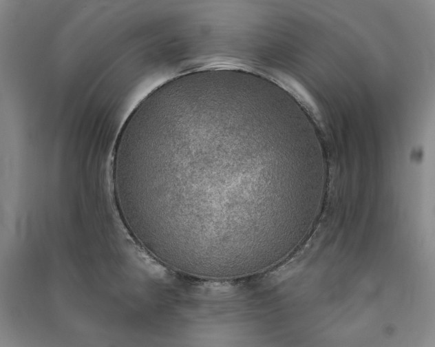 X0000091351190200708171425