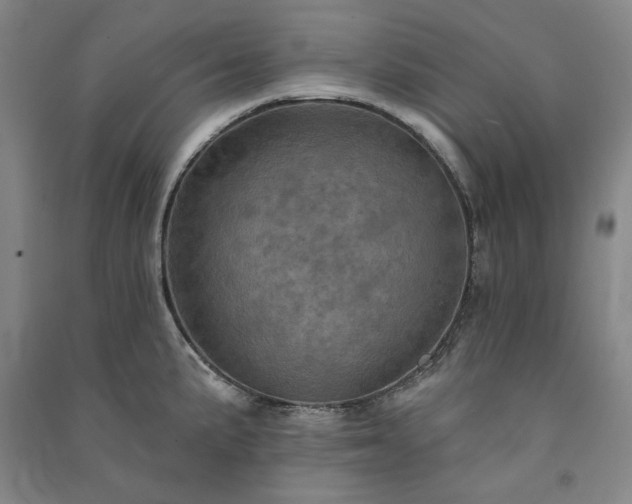 X0000091351191200708171425