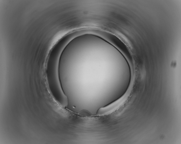 X0000091351192200708171425