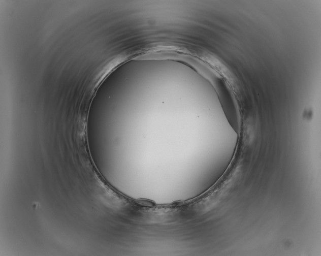 X0000091351193200708171425
