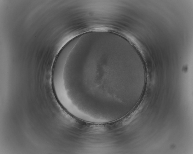 X0000091351194200708171425