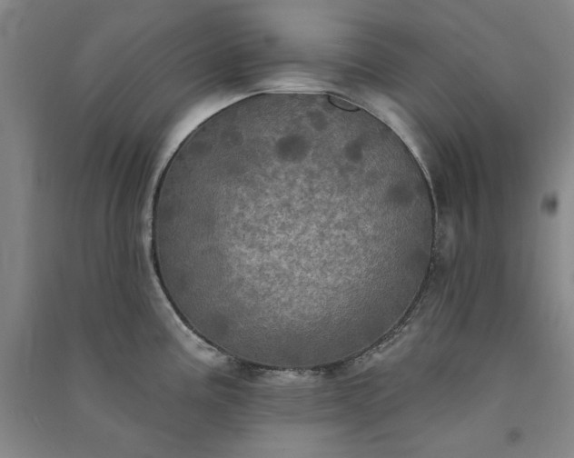 X0000091351195200708171425