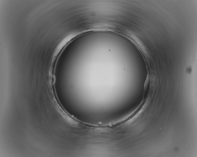 X0000091351196200708171425