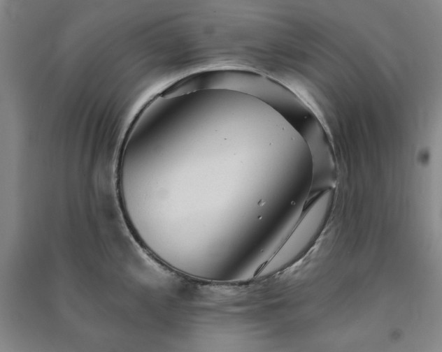 X0000091351197200708171425