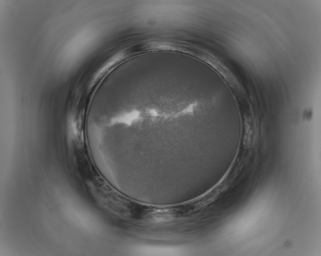 X0000091351198200708171425
