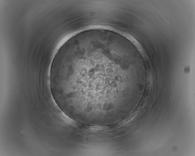 X0000091351199200708171425