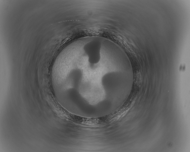 X0000091351201200708171424