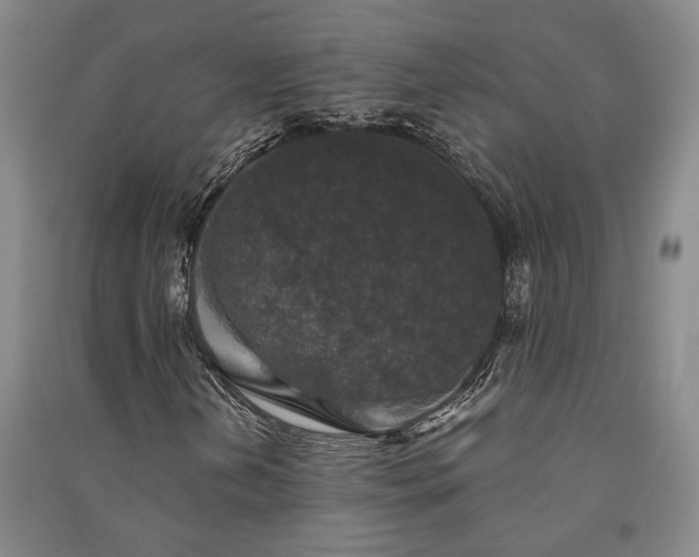 X0000091351202200708171424