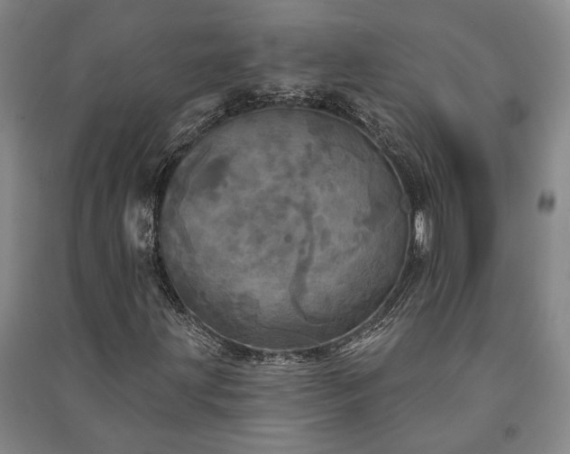 X0000091351203200708171424