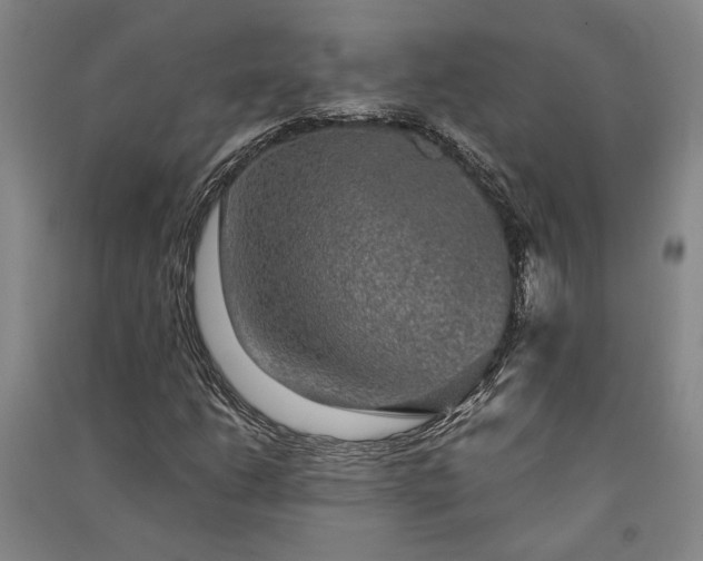 X0000091351206200708171424