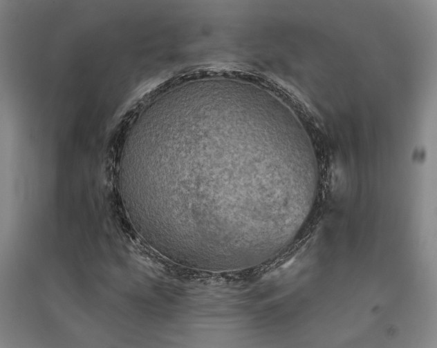 X0000091351207200708171424