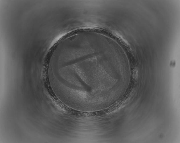 X0000091351208200708171424