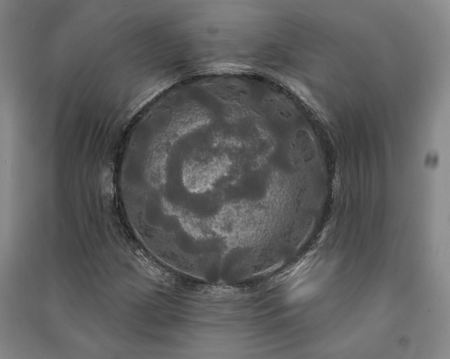 X0000091351209200708171424