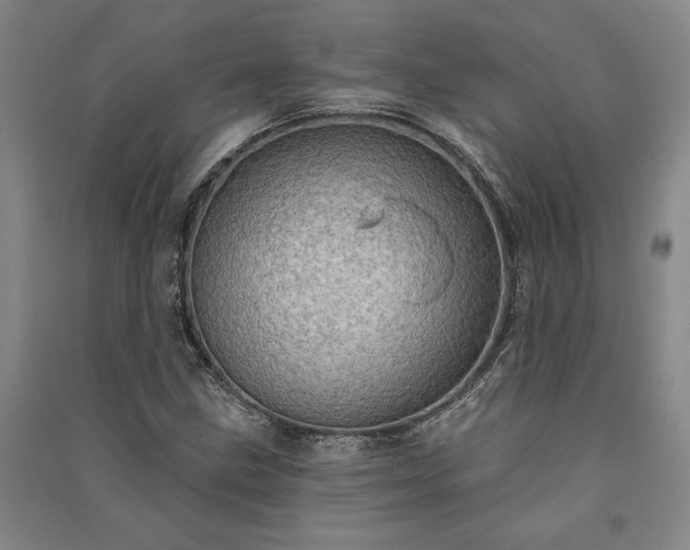 X0000091351211200708171424