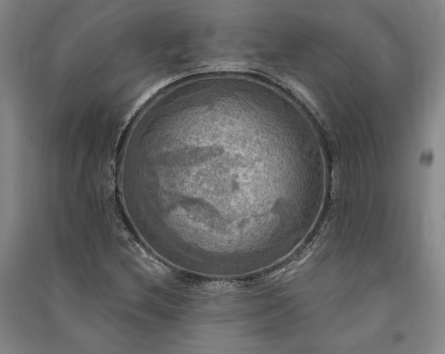 X0000091351212200708171424