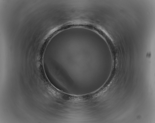 X0000091351213200708171424