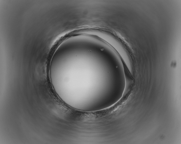 X0000091351214200708171424