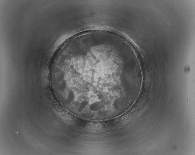 X0000091351215200708171424