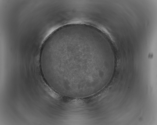 X0000091351216200708171424