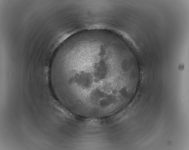 X0000091351217200708171424